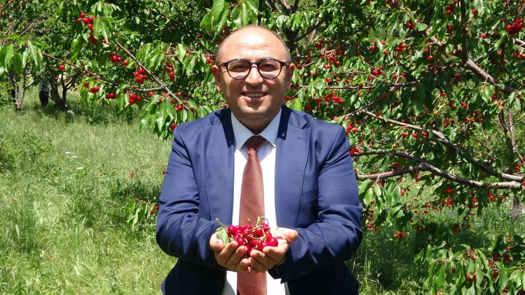 Yurt dışına tonlarca ihraç ediliyor: İç pazarda kilosu 70 TL! Hasat başladı, pazar sıkıntısı yok 3